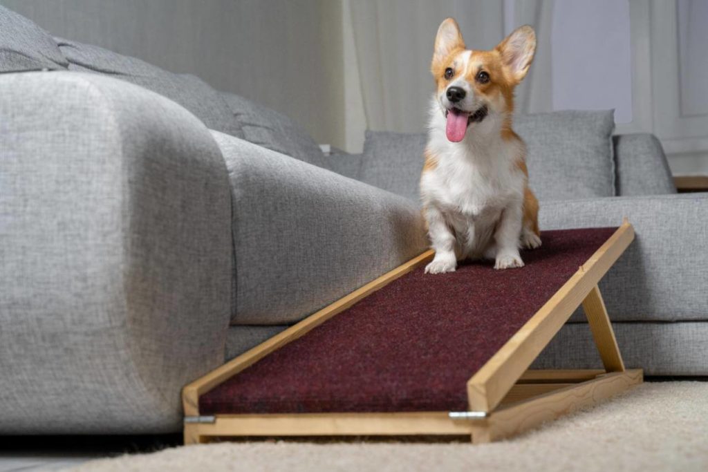 pet ramp with side rails