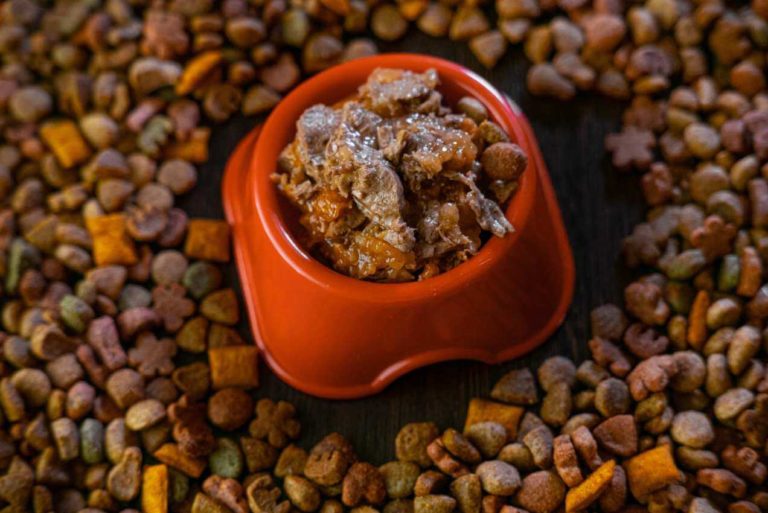 10 Best Canned Dog Food Your Dogs Will Love Every Creature Counts