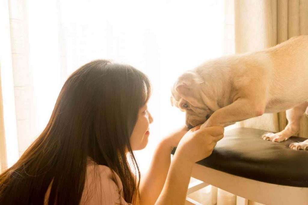 woman holding little white dog