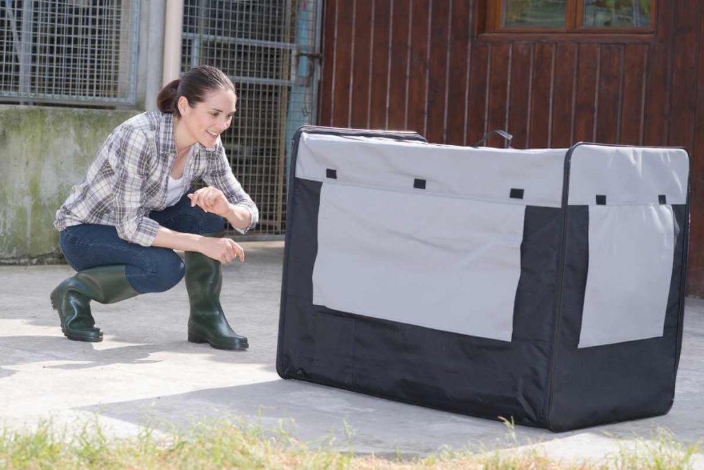 Best Dog Crates For Truck Beds Comfort And Safety Guaranteed