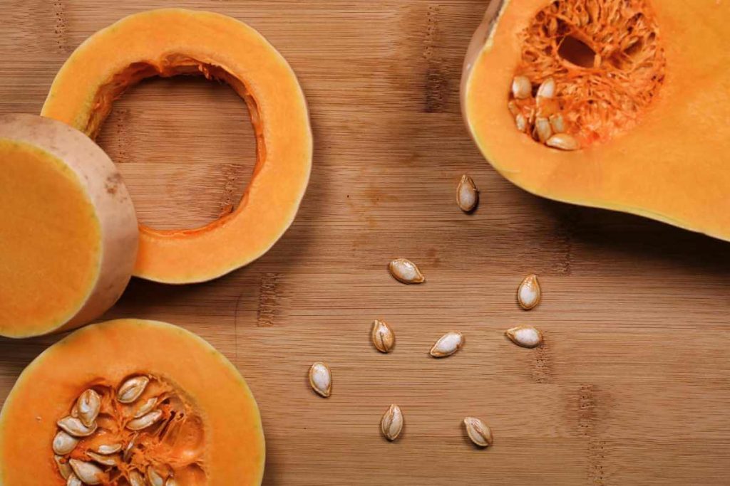 can dogs eat pumpkin seeds