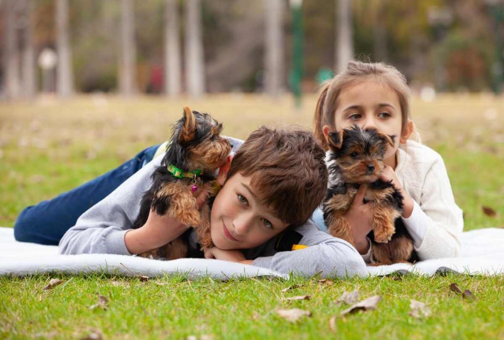are yorkies good with kids