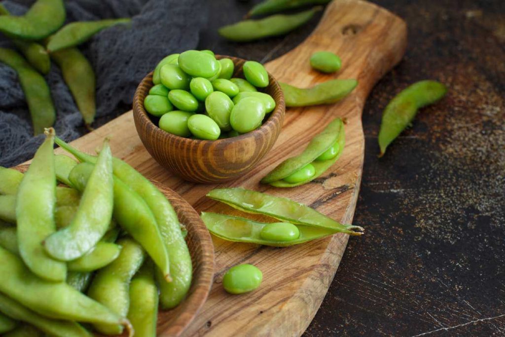 can dogs eat edamame