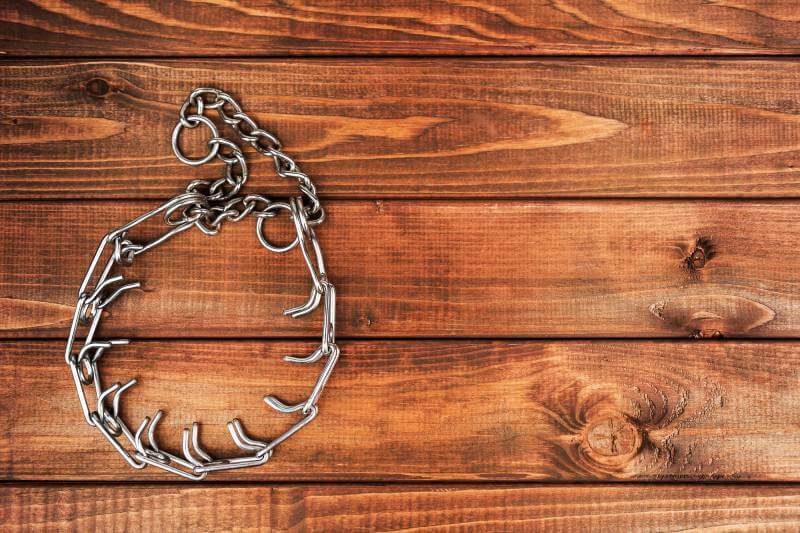 prong collar on a wooden background