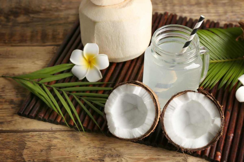 can dogs have coconut water